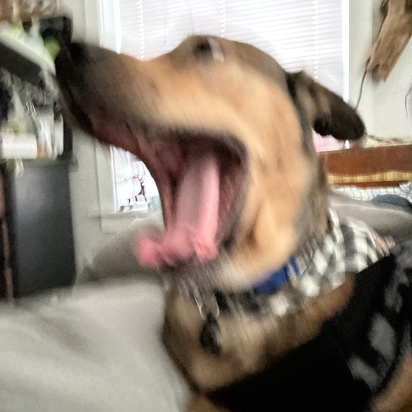 _b3ck_